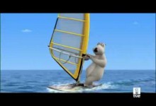 Medved Bernard: Windsurfing