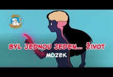 Byl jednou jeden zivot - Mozek