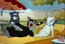 Tom a Jerry: Jarni laska