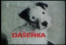 Dasenka: Jak se narodila