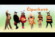 Ciperkove: Beruska sedmitecna